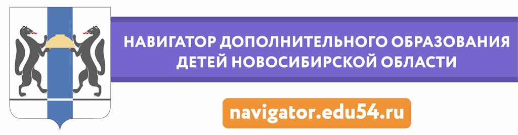 Баннер Навигатор ДОД НСО.jpg