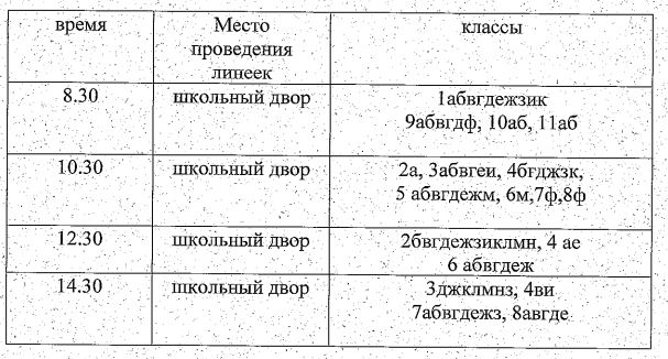 линейки.JPG